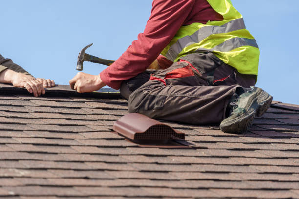 Roof Gutter Cleaning in Richwood, TX