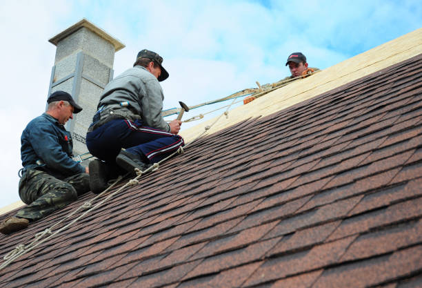 Best Metal Roofing Contractor  in Richwood, TX